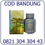 Jual Kianpi Pil Bandung COD 082130430443 Penggemuk Badan